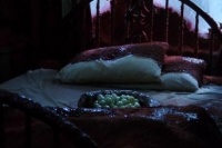 Ловець снів