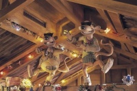 Побег из курятника