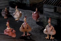 Побег из курятника