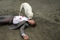 Одного разу у Голівуді