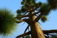 Сезон полювання 2