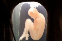 Возможность острова