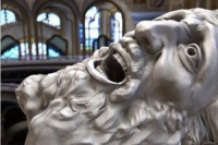 Не думай про белых обезьян