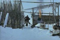 Король - полярный медведь