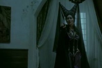 Король - полярный медведь