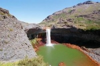 Динозавры: гиганты Патагонии