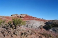 Динозавры: гиганты Патагонии