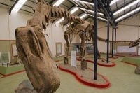 Динозавры: гиганты Патагонии