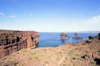 Динозавры: гиганты Патагонии