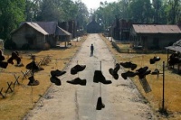 Крупная рыба