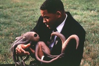 Люди в черном