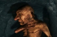 Гноми і тролі