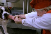 Бетховен: Великий кидок