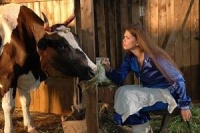 Укрощение строптивых