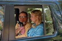 Укрощение строптивых