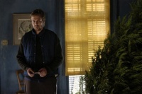 Любовная лихорадка