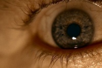 Карти, гроші і два стволи