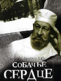 Собаче серце