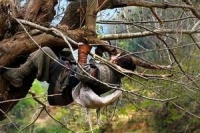 Маленький большой солдат