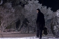 Впусти меня. Сага