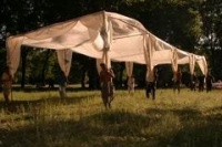 Заяц над бездной