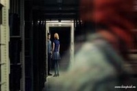 Волк-одиночка