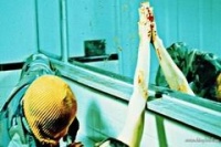 Волк-одиночка