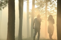 Норвежский лес