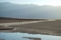 Древо жизни