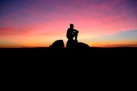 Древо жизни