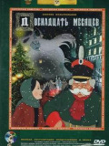 12 месяцев
