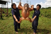 Народжені бути вільними