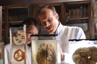 Щоденники з Полла