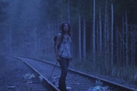 2016: Конец ночи