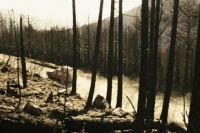 2016: Конец ночи