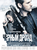 Черный дрозд