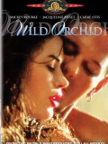 Дикая орхидея