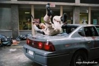 16 кварталов