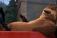 Сезон охоты