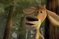 Сезон охоты