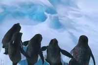 Веселые ножки