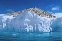 Веселые ножки