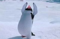 Веселые ножки