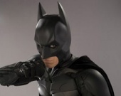 PETA против Бэтмена