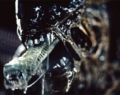 Ридли Скотт снимет два приквела "Чужого"