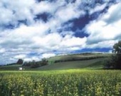 Обитель хоббитов