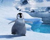 Кто же стал абсолютным лидером проката