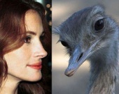 Звездный зоопарк