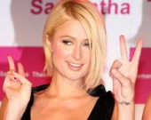 Хилтон озаботилась пьянством слонов