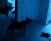 Установлен новый рекорд для фильмов ужасов